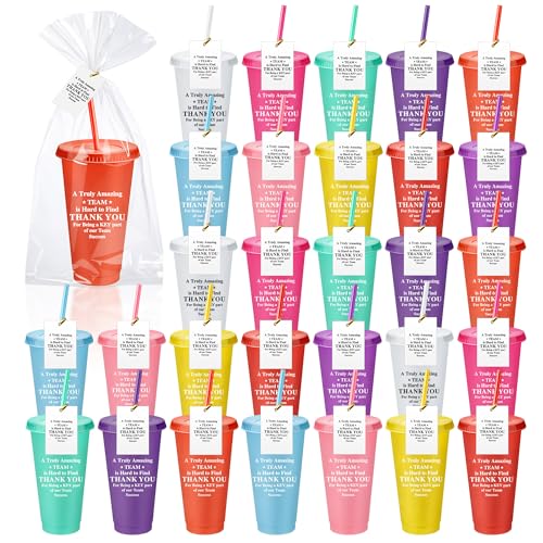 Skylety 30 Pcs End of The Year Graduation Appreciation Gift Bulk 24 oz Plastic Tumbler Cup with Lids Straws Thank You Cup Bulk for Nurse Volunteer Coworker Cna Week GiftsGratefulAssorted Colors - Image 1