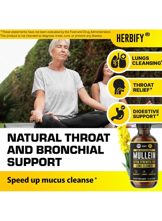 HERBIFY قطرات المولين - تنظيف الرئة - مستخلص ورق المولين - مولين قوي لدعم المناعة - مستخلص المولين لتنظيف الرئة ودعم الجهاز التنفسي - صنع في الولايات المتحدة الأمريكية - مكملات عشبية - 4 أونصات - Image 5