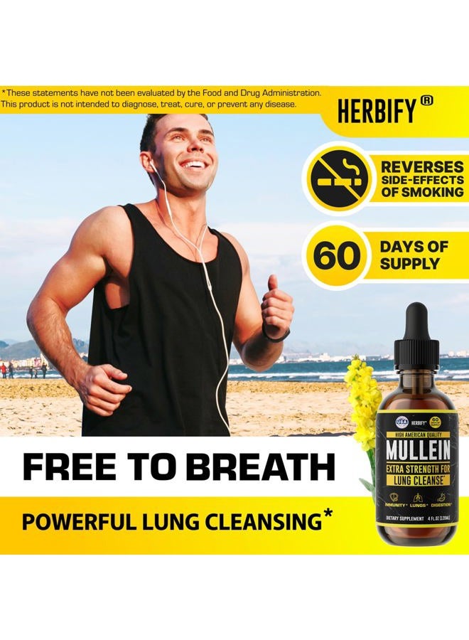 HERBIFY قطرات المولين - تنظيف الرئة - مستخلص ورق المولين - مولين قوي لدعم المناعة - مستخلص المولين لتنظيف الرئة ودعم الجهاز التنفسي - صنع في الولايات المتحدة الأمريكية - مكملات عشبية - 4 أونصات - Image 3