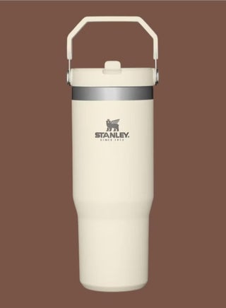 STANLEY IceFlow Stainless Steel Tumbler with Straw - Vacuum Insulated Water Bottle for Home, Office or Car - Reusable Cup with Leak-Resistant Flip Straw, Keeps Drinks Cold for 12 Hours or Iced for 2 Days, 30 oz Cream - pzsku/Z44DC79955496DA09C6A0Z/45/1741500064/11a07e72-2d65-4aef-8efc-7832ac64233c
