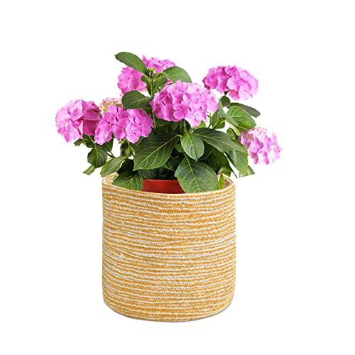LaVichitra Braided Cotton Baskets | Planter Basket- Set of 2 (6 Inch), Yellow - Image 3