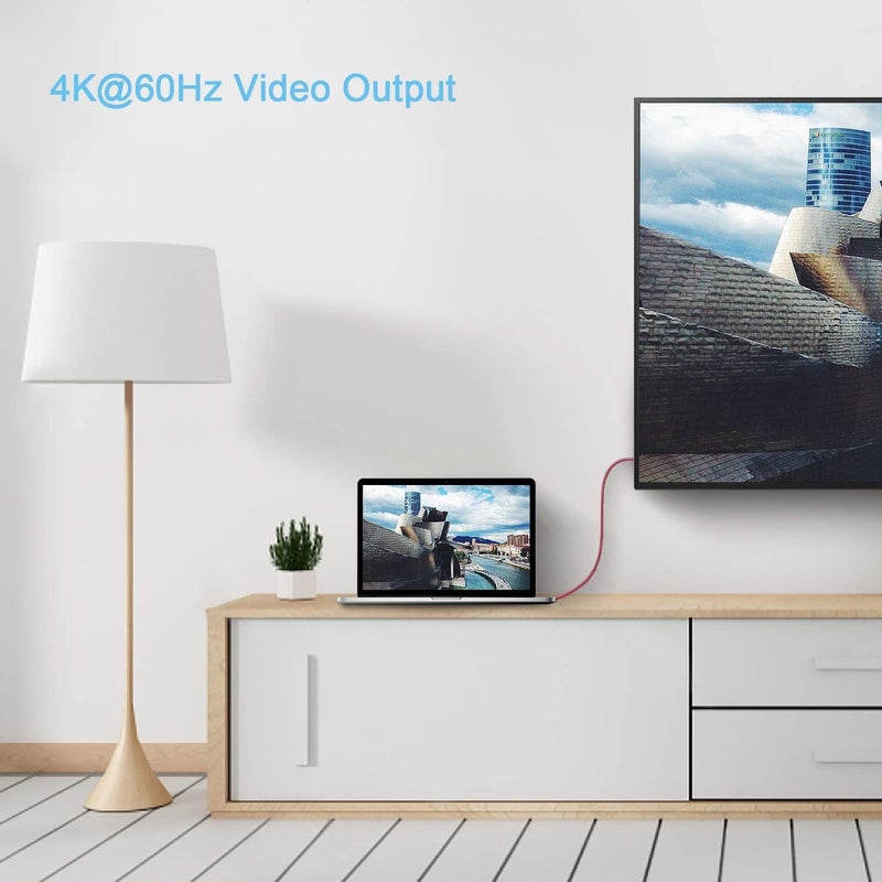 فاسجير كابل USB C إلى Type C، حزمة واحدة من كابل USB 3.1 Type C Gen 2 للشحن السريع، توصيل طاقة 100W 20V/5A، نقل بيانات 10Gbps، إخراج فيديو 4K@60Hz، متوافق مع أجهزة Type-C (10 قدم، أحمر) - Image 2