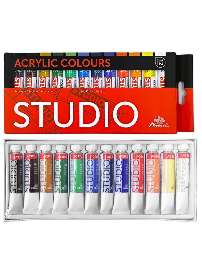 Phoenix Acrylic set 17 pieces (Acrylic colors 12*12ml + canvas panel 24*30 cm + 4 brushes) - Image 2