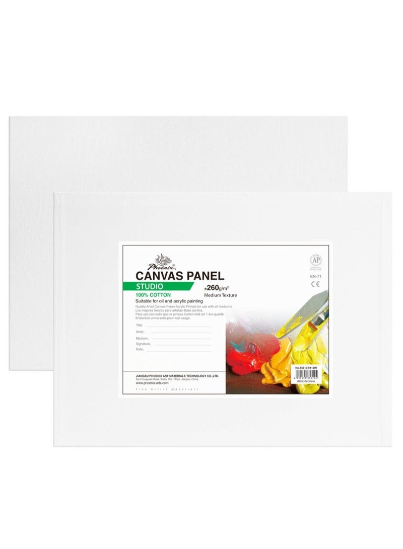 Phoenix Acrylic set 17 pieces (Acrylic colors 12*12ml + canvas panel 24*30 cm + 4 brushes) - Image 3