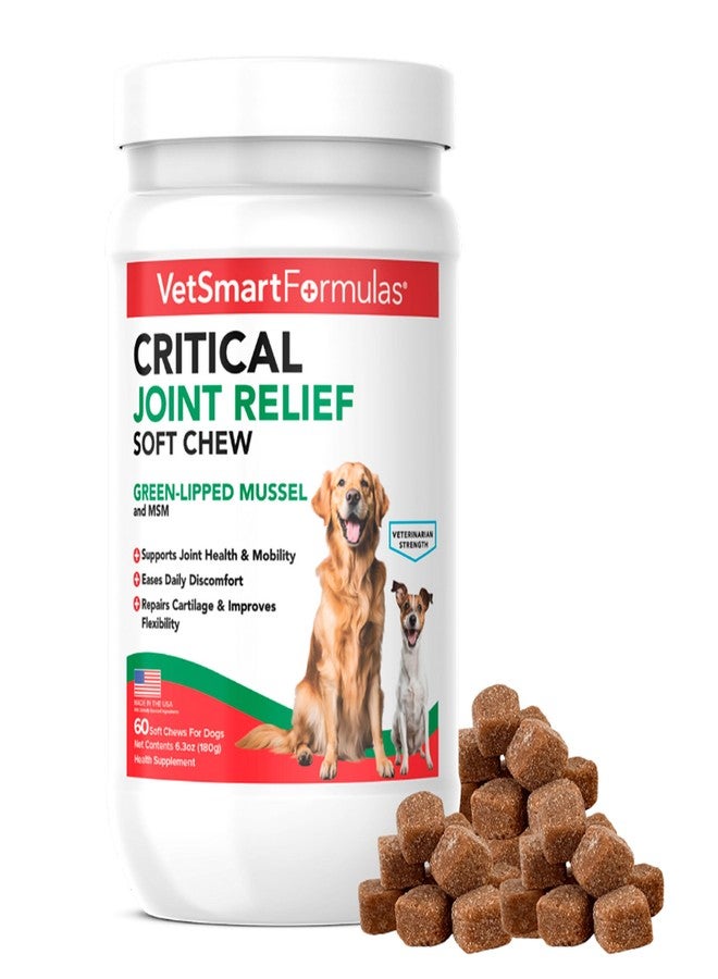 VetSmart Formulas Critical Joint Relief Soft Chew for Dogs – Hip & Joint Supplement with Glucosamine, MSM, Green-Lipped Mussel – Joint Discomfort, Hip Dysplasia & Mobility Support, Made in USA - Image 1