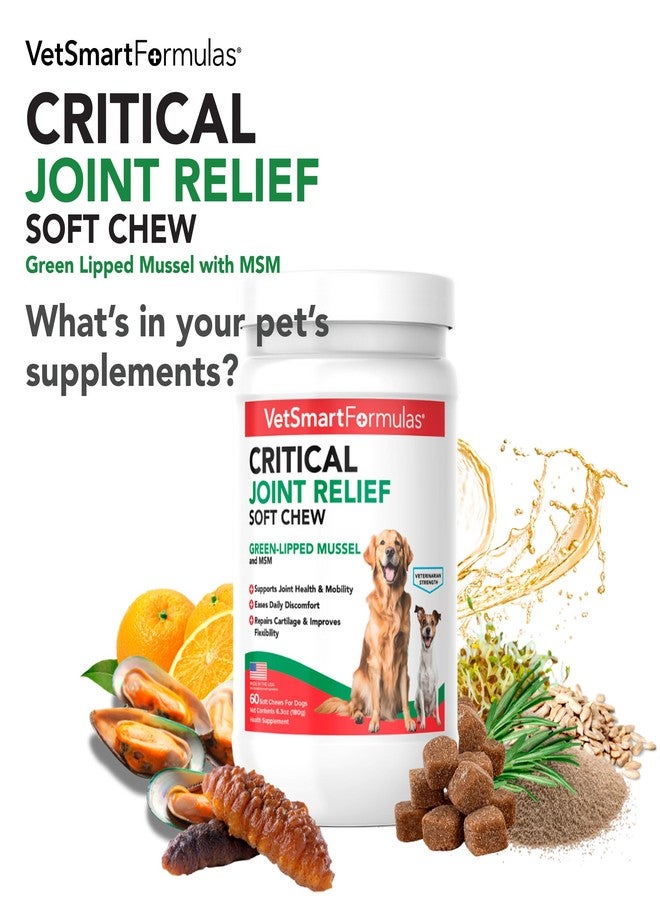 VetSmart Formulas Critical Joint Relief Soft Chew for Dogs – Hip & Joint Supplement with Glucosamine, MSM, Green-Lipped Mussel – Joint Discomfort, Hip Dysplasia & Mobility Support, Made in USA - Image 2