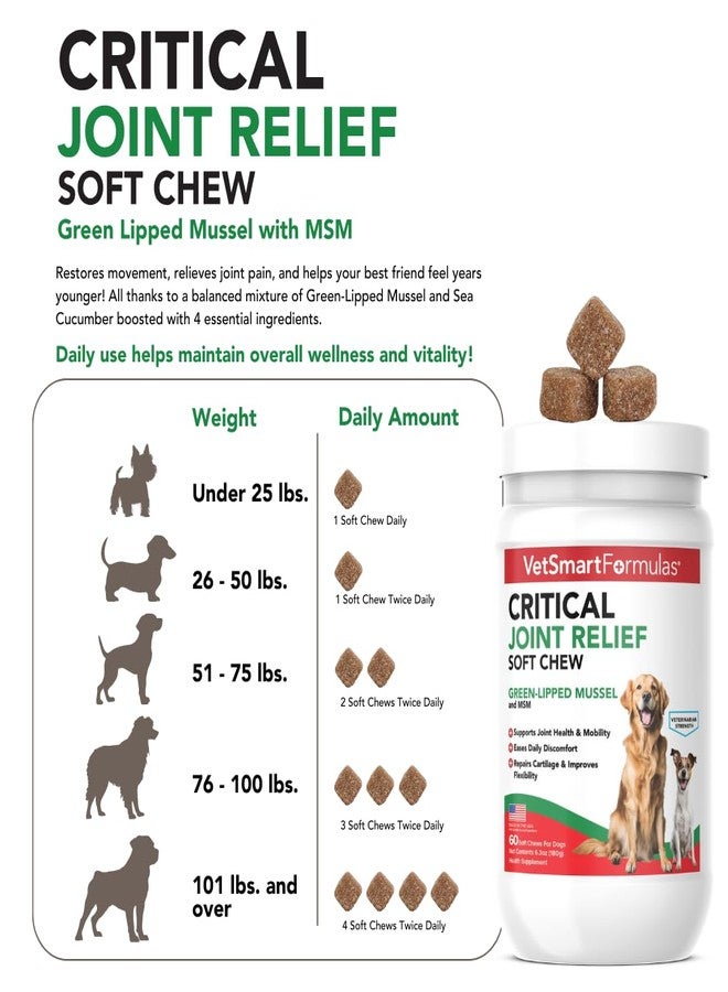 VetSmart Formulas Critical Joint Relief Soft Chew for Dogs – Hip & Joint Supplement with Glucosamine, MSM, Green-Lipped Mussel – Joint Discomfort, Hip Dysplasia & Mobility Support, Made in USA - Image 3