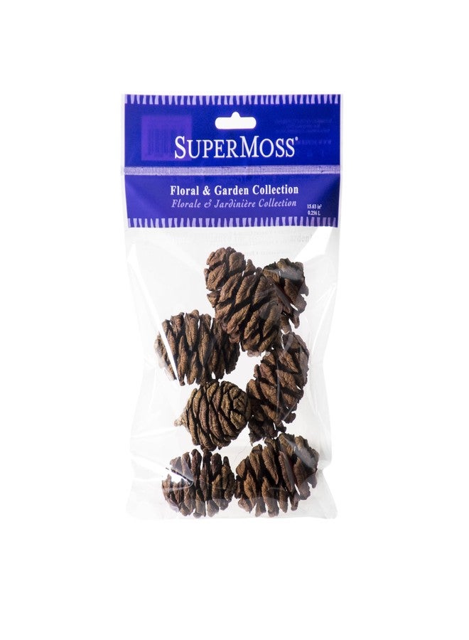 SuperMoss Sequoia Pine Cones, Natural - Image 1