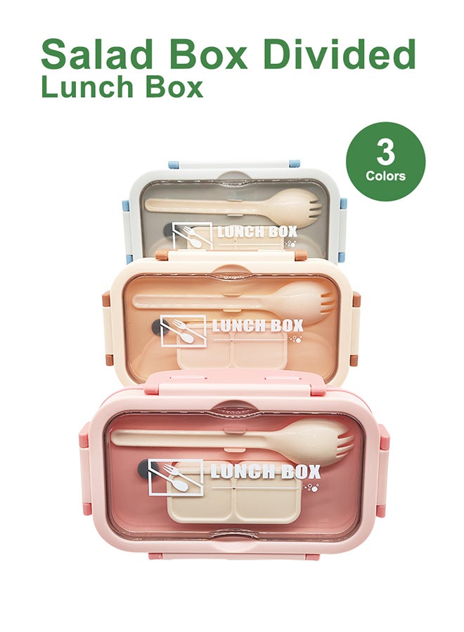 Buy noon east 3-Compartment Lunch Box Online | 15 Minutes Instant ...