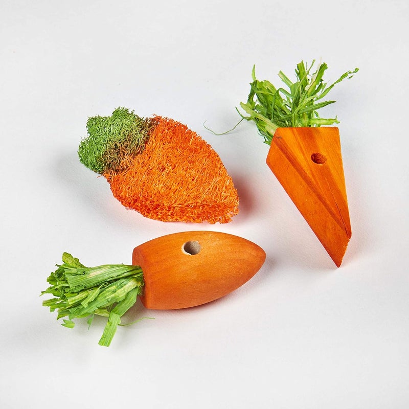 Kaytee Simple practical structure Kaytee 3 Count Chew Toy, Carrot Patch Variety Multi-market varied design options - Image 4