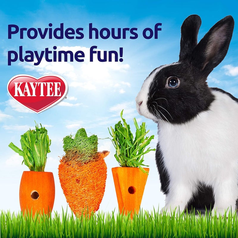 Kaytee Simple practical structure Kaytee 3 Count Chew Toy, Carrot Patch Variety Multi-market varied design options - Image 5