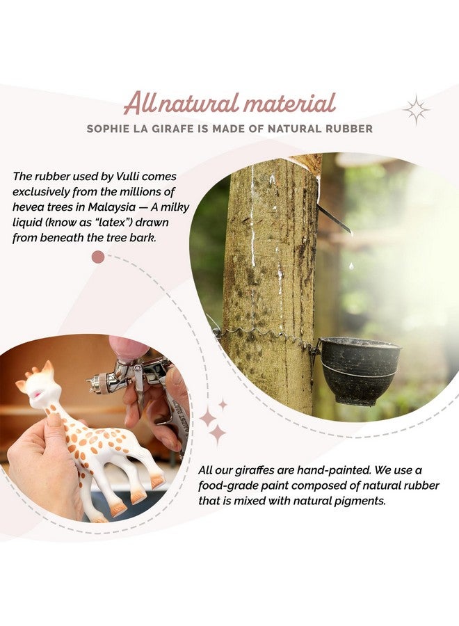 صوفي لا جيراف مجموعة هدايا صوفي الزرافة الكلاسيكية رقم 1 | تتضمن حقيبة هدايا، وبطاقة، وصوفي الزرافة، وحلقة تسنين | مصنوعة من مطاط طبيعي | مصممة للأطفال في مرحلة التسنين - Image 2