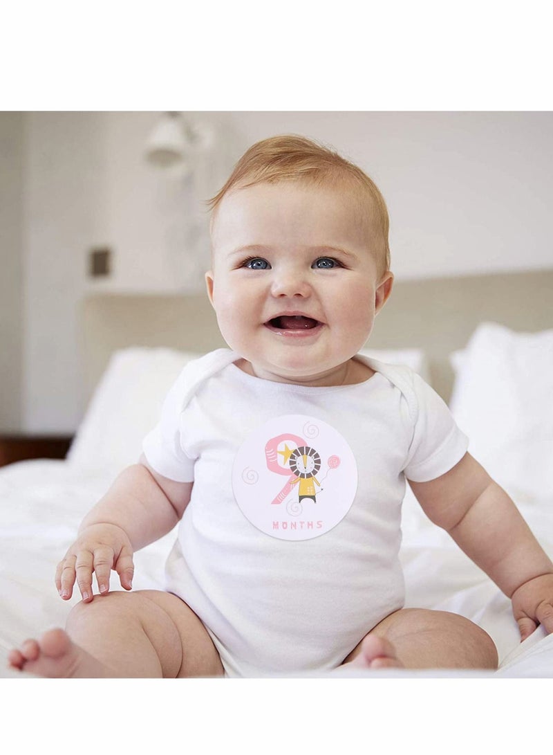 NIBEMINENT Baby Growth Monthly Stickers, Girl and Boy Photo Shoot Props, Stickers for Recording Newborn Process (12 Pack Forest Animal Themes) - Image 5