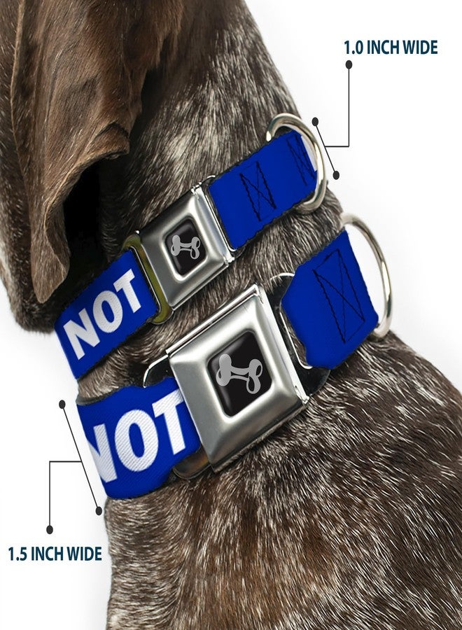 Buckle Down Dog Collar Seatbelt Buckle Pet Quote Do Not Feed Navy White 9 to 15 Inches 1.0 Inch Wide - Image 2