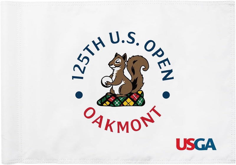 COGOLFING Standard Golf Flag U.S.Tour 2025, Tube Insert, 14x20 Inch 420D Nylon Dual-Sided Silk-Screen, Ideal for Practice Putting Green, Driving Range, Course, Club, White, 1-Pack - Image 1