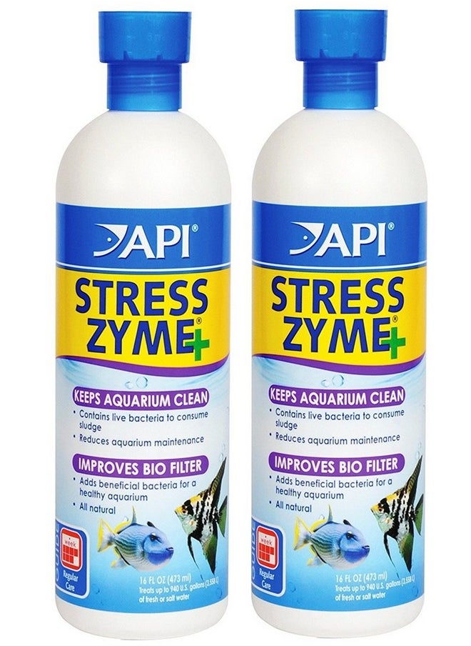 API API Stress Zyme Freshwater and Saltwater Aquarium Cleaning Solution (2 Pack / 16-Ounce) 