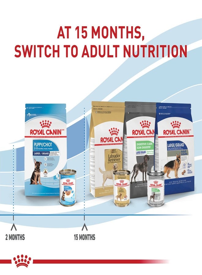 رويال كانين سايز هيلث نيوتريشن لارج بوبي ثين سلايسز إن جريفي دوج فود، 13 أونصة (عبوة من 6 قطع) - Image 5