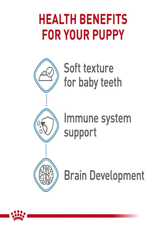 رويال كانين سايز هيلث نيوتريشن لارج بوبي ثين سلايسز إن جريفي دوج فود، 13 أونصة (عبوة من 6 قطع) - Image 3