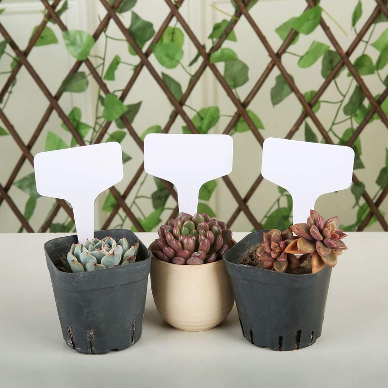Mihey 150 Pcs 6x10cm Plant Labels T-Type Waterproof Garden Tags Nursery Markers Plant Identification Stakes, White - Image 5