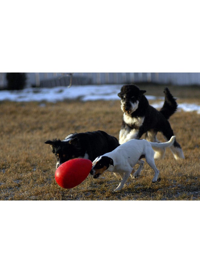 Jolly Pets Jolly Egg Dog Toy, 12 Inches/Large, Yellow - Image 4