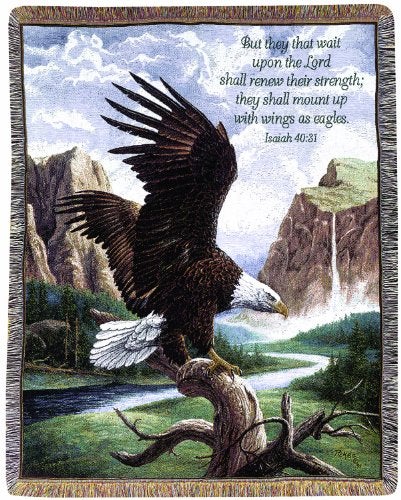 Manual Woodworker Manual Inspirational Collection 50 x 60-Inch Tapestry Throw with Verse, Freedom by Linda Pickens, - Image 4