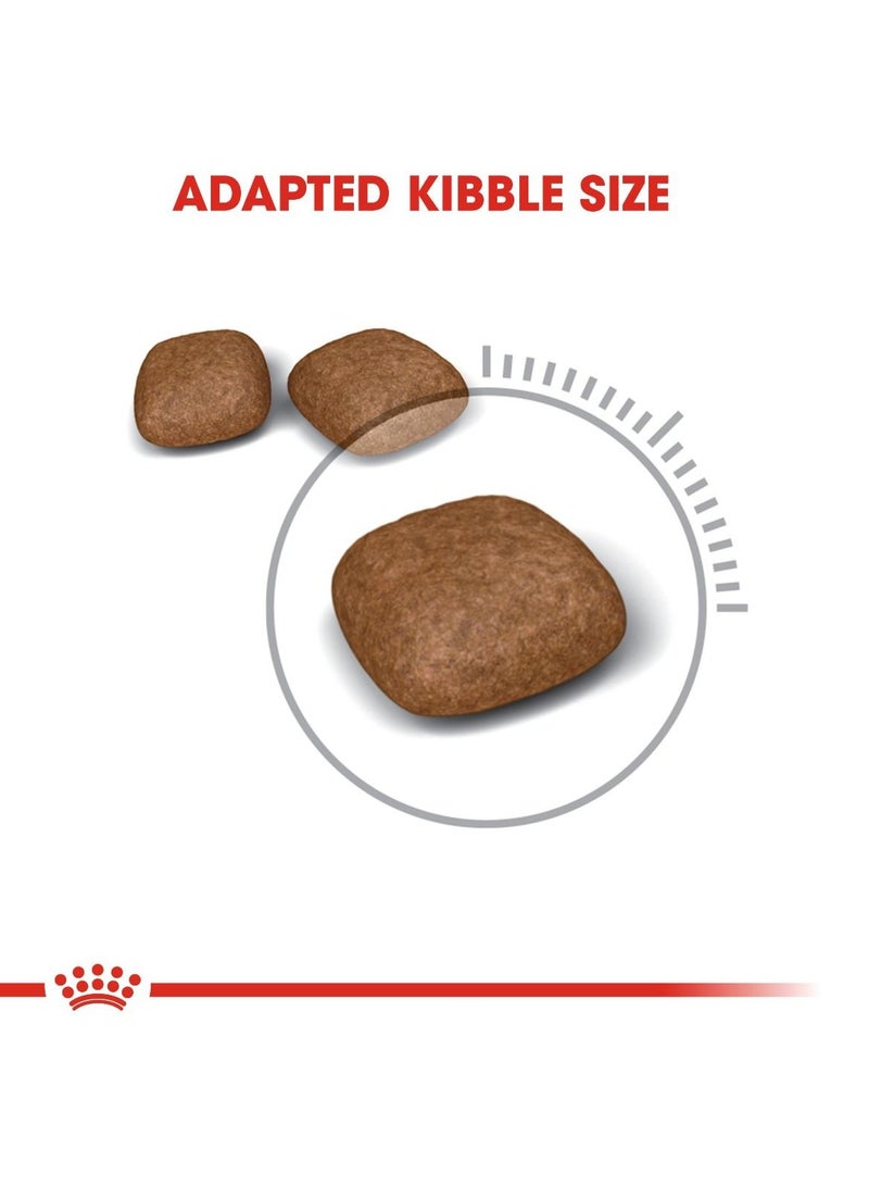 Royal Canin Feline Care Nutrition Urinary Care 2 KG - Image 3