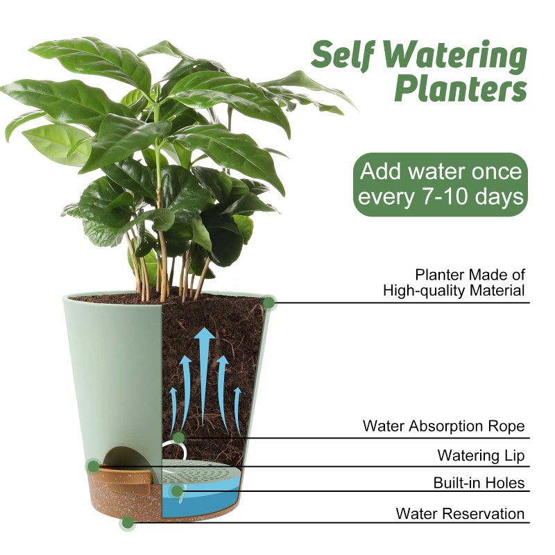 YNNICO Indoor Self Watering Planters with Drainage Holes and Saucers, 8, 7, 6.5, 6, 5.5, 5 Inches, Green, 6 Pots. - Image 5