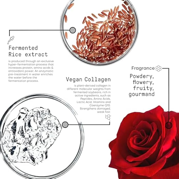 FRAMESI Morphosis Restructure Hair Beauty Elixir 5.1 fl oz, 5-Minute Weightless Mask, Repairing Conditioner, Natural Ingredients, Color Safe - Image 5