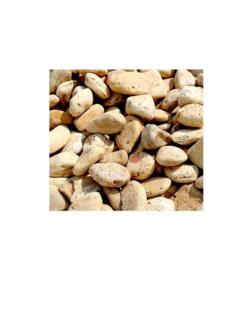 KNP Yellow Forest River Stone Natural Garden Material 1-2 cm 5kg - Image 3