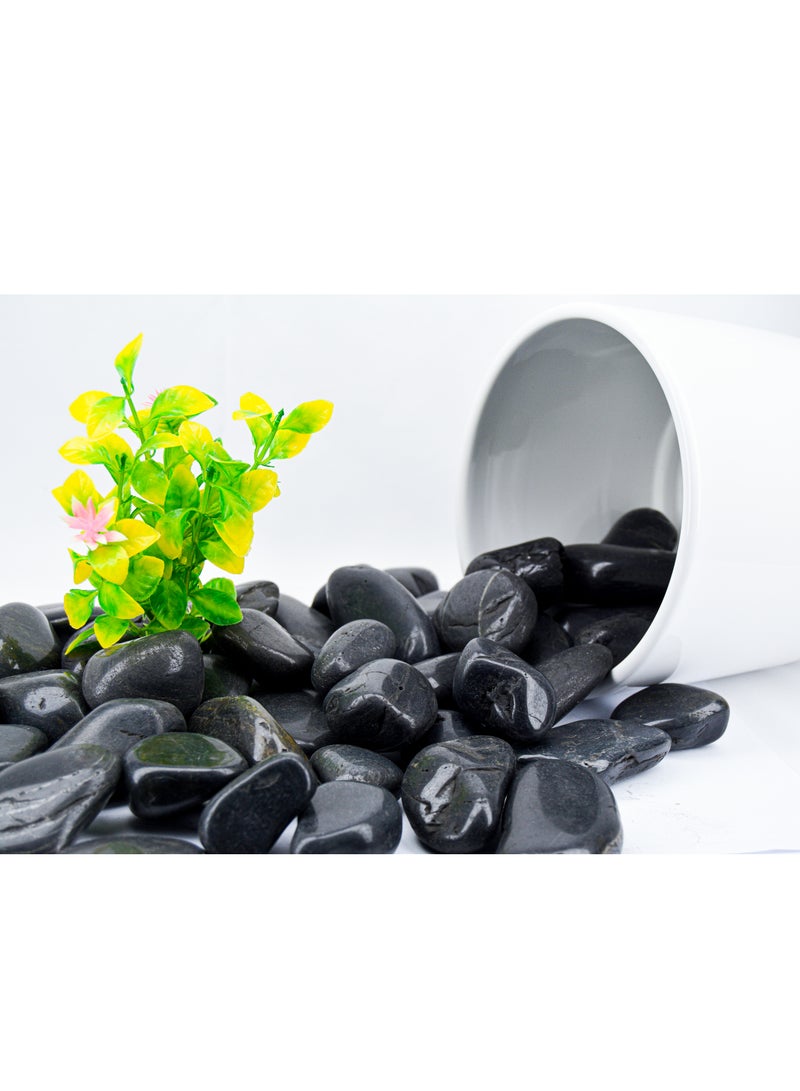 vsell24 5KG Polished Black Decorative Stones – Ideal for Aquariums, Planters, Terrariums & Stylish Home Décor  - Image 2