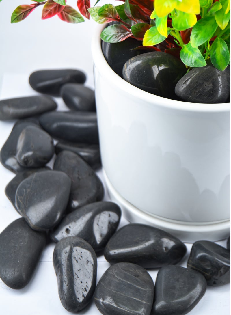 vsell24 5KG Polished Black Decorative Stones – Ideal for Aquariums, Planters, Terrariums & Stylish Home Décor  - Image 3