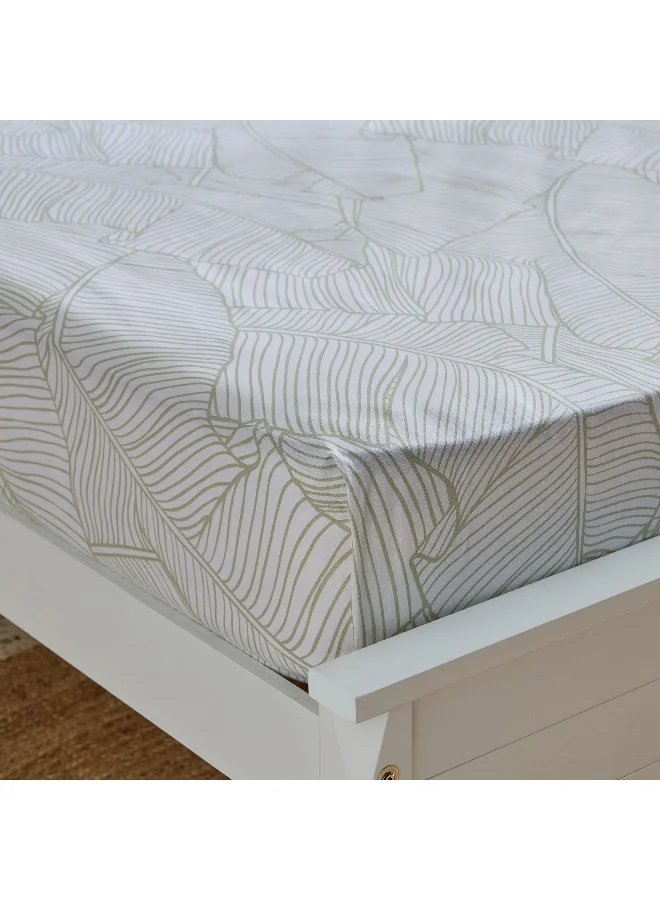 Home Box Malta Musa Printed Cotton King Flat Sheet - 240x260 cm