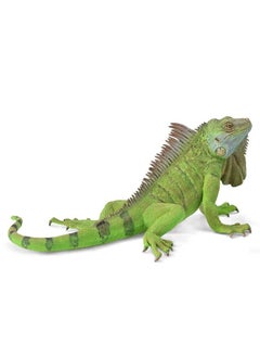 CollectA Collecta - Iguana Lizard - 88965 