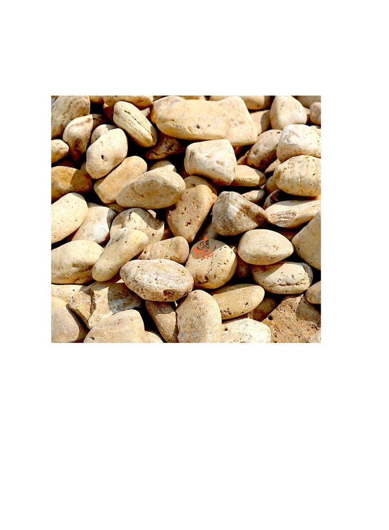 KNP Yellow Forest River Stone Natural Garden Material 1-2 cm 20kg - Image 3