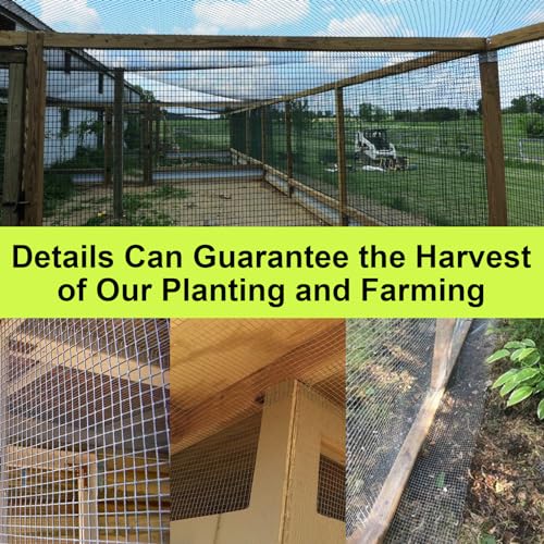 LAN JIA Black Hardware Cloth Roll 1/2 inch 24 inch x 100 Foot - Chicken Wire Fence Roll Garden Fence Mesh Wire Fence Welded Wire Fencing - Image 5