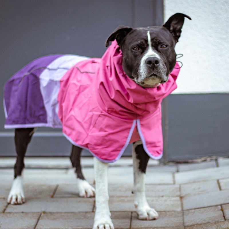 Spark Paws Dog Raincoat, Waterproof Windproof Rain Jacket, for Small Medium Large Extra Large Dogs, Reflective Breathable Full-Body Coverage Dry Suit - Pink Lilac Purple - XL - Image 5