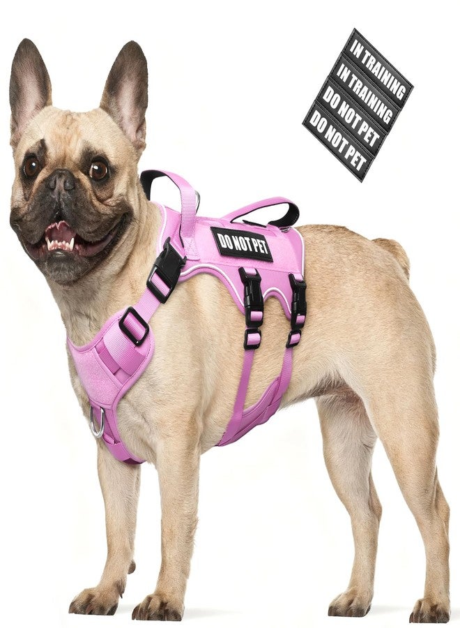 WINSEE Escape Proof Dog Harness, Service Working Molle Harness with Double Handle, Tactical Pet Vest with 4 Patches for Small Medium Large Dogs Walking Hiking Hunting - Image 1