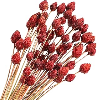 Rtteri 60 Pcs Red Dried Flowers Bouquet Bulk 16" Christmas Mini Billy Ball Flowers Natural Fall Dried Pine Ball Flowers - Image 1