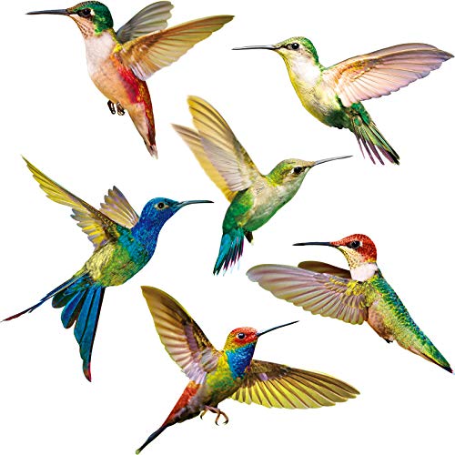 Blulu 6 Pieces Large Size Hummingbird Window Clings Anti-Collision Decals to Prevent Bird Strikes on Window Glass Non Adhesive Vinyl Cling Hummingbird Stickers(6 Pieces) - Image 1