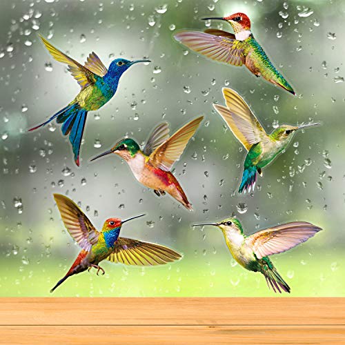Blulu 6 Pieces Large Size Hummingbird Window Clings Anti-Collision Decals to Prevent Bird Strikes on Window Glass Non Adhesive Vinyl Cling Hummingbird Stickers(6 Pieces) - Image 5