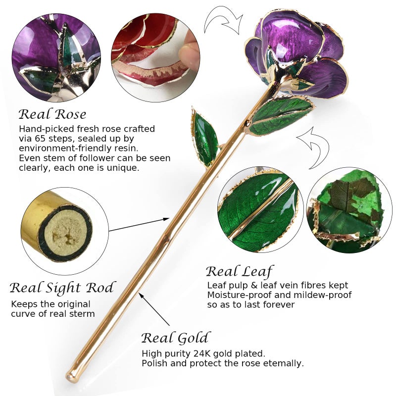 Sinvitron Gold Dipped Rose 24K Real Rose  Long Stem Gold Plated Rose with Stand  Valentines Day Gifts for Her Gifts for Mom 24K Golden Rose for Anniversary and Mothers Day  Birthday (Purple) - Image 3