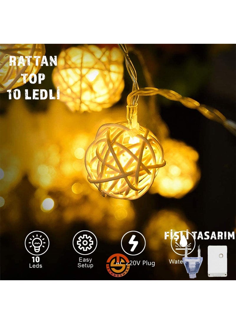 Technosmart Decorative 10-Piece Rattan Model Plug Strip LED Ornament  - Image 3