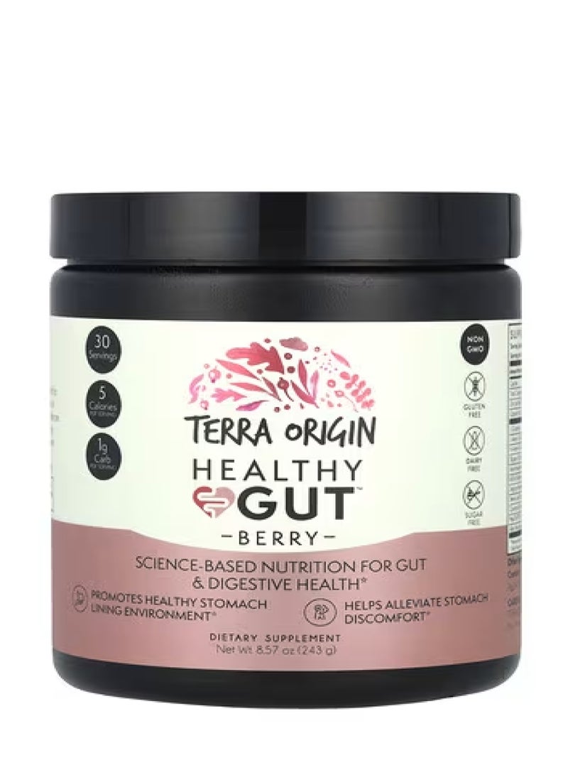 Terra Origin Healthy Gut™, Berry, 8.57 oz (243 g)