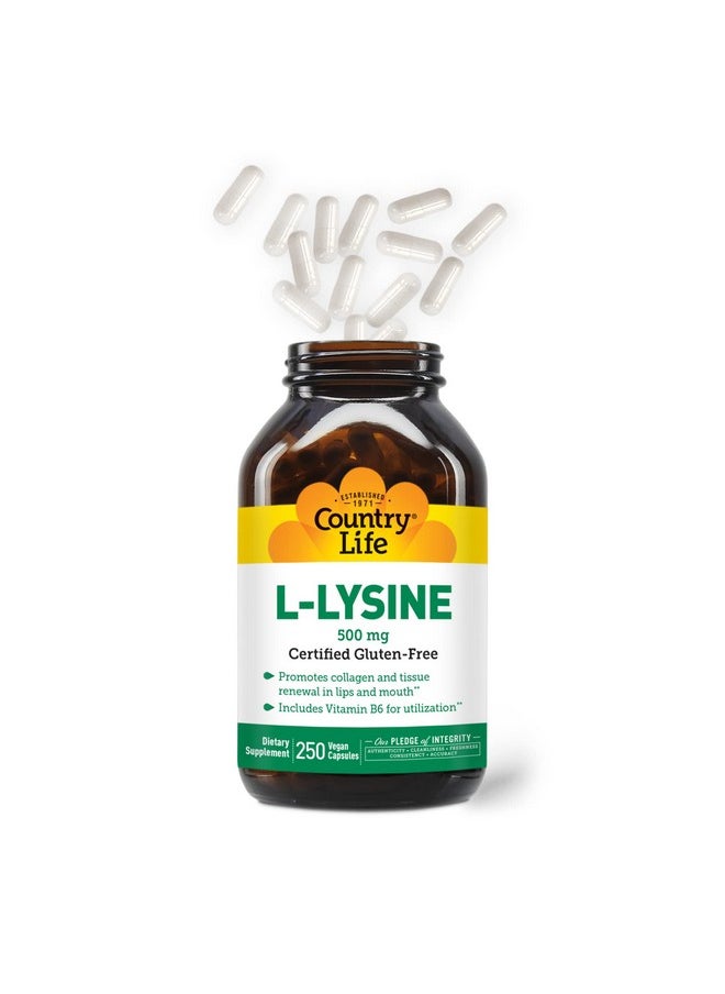 Country Life L Lysine 500Mg With B 6 Supports Immune Health Promotes Collagen Renewal In Lips And Mouth 250 Vegan Capsules Certified Gluten Free Certified Vegan  - Image 4