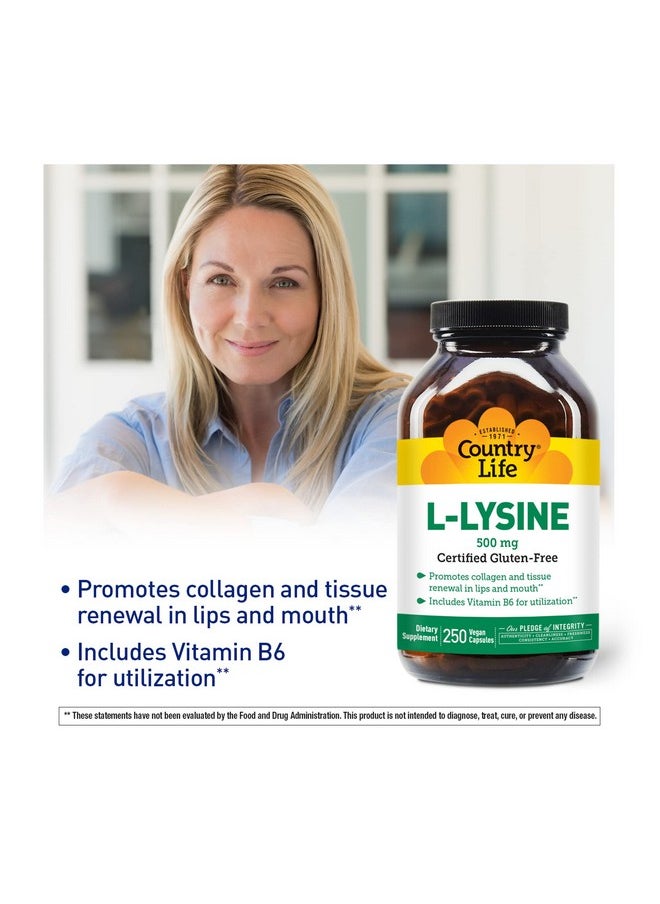 Country Life L Lysine 500Mg With B 6 Supports Immune Health Promotes Collagen Renewal In Lips And Mouth 250 Vegan Capsules Certified Gluten Free Certified Vegan  - Image 5