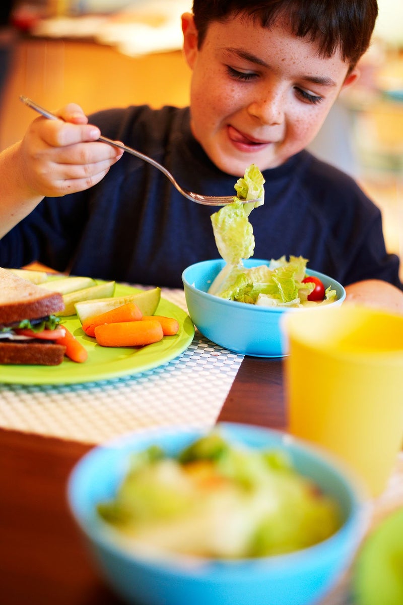 Green Eats 4 Pack Snack Plate, Green - Image 2