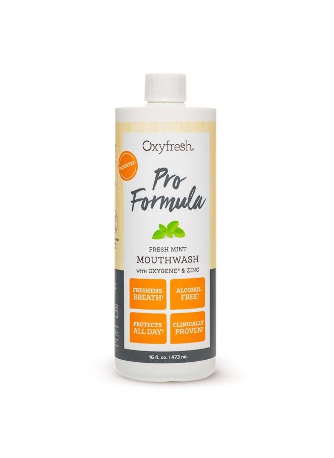 Oxyfresh - Premium Pro Formula Fresh Mint Mouthwash – Patented Zinc Mouthrinse for All Day Fresh Breath & Healthy Gums – Refreshing & Alcohol Free Mouthwash | 16oz - Image 1