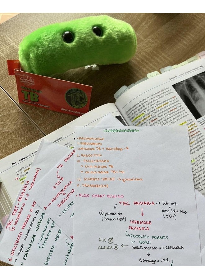 Giant Microbes دبدوب جيانت ميكروبز للسل، هدايا علم الأحياء، هدايا طبية مضحكة، هدايا للأطباء، دبدوب بكتيريا، لعبة دبدوب فيروس، نظام المناعة - Image 2