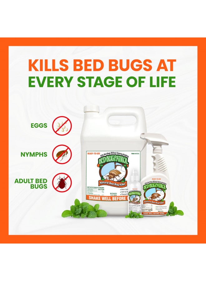 Bed Bug Patrol Natural Bed Bug Killer Spray, Child & Pet Friendly, Non-Toxic, Suitable for Home, Office, Vehicles, Mattresses & Furniture, 1 Gallon - 128oz (Refill) - Bug Spray Bed Bug Spray - Bug Bye - Image 2