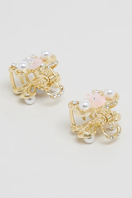 R&b 2 Piece Mini Claw Clips